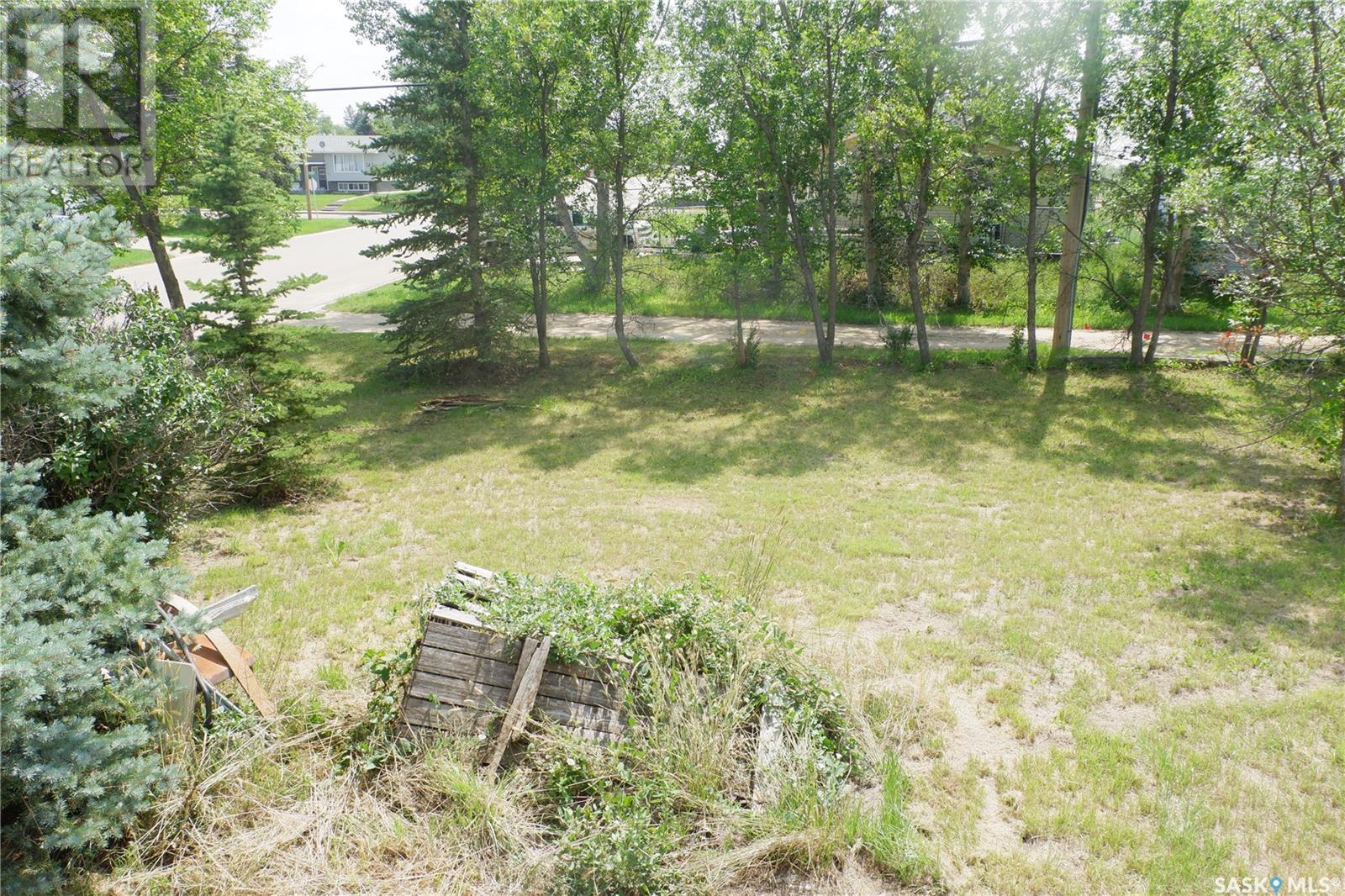401 6th Avenue W, Assiniboia, Saskatchewan  S0H 0B0 - Photo 26 - SK014349