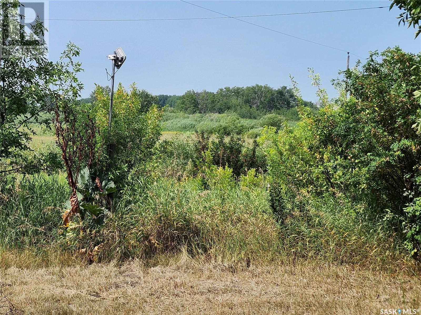 7 Park Street, Yarbo, Saskatchewan  S0A 4V0 - Photo 25 - SK996599