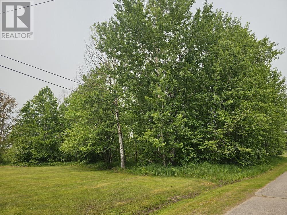 187 Lake St, Vacant Land Yet To Be Severed, Echo Bay, Ontario  P0S 1C0 - Photo 1 - SM251345