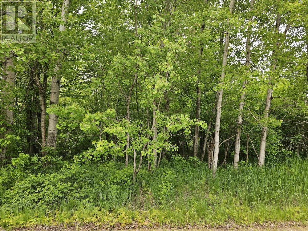 187 Lake St, Vacant Land Yet To Be Severed, Echo Bay, Ontario  P0S 1C0 - Photo 2 - SM251345