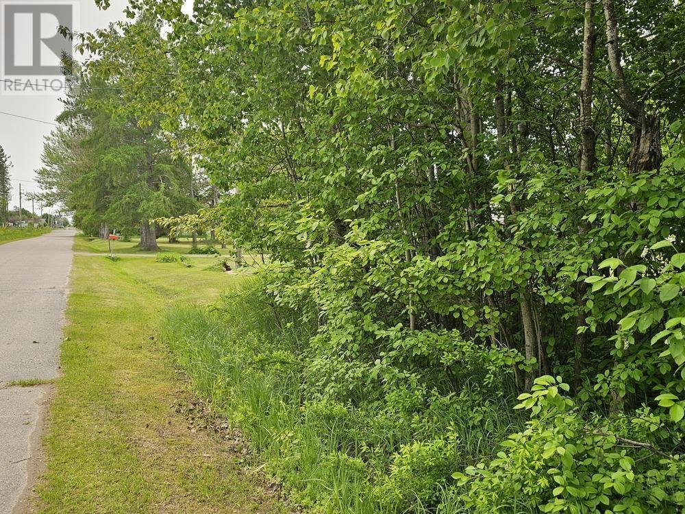 187 Lake St, Vacant Land Yet To Be Severed, Echo Bay, Ontario  P0S 1C0 - Photo 4 - SM251345