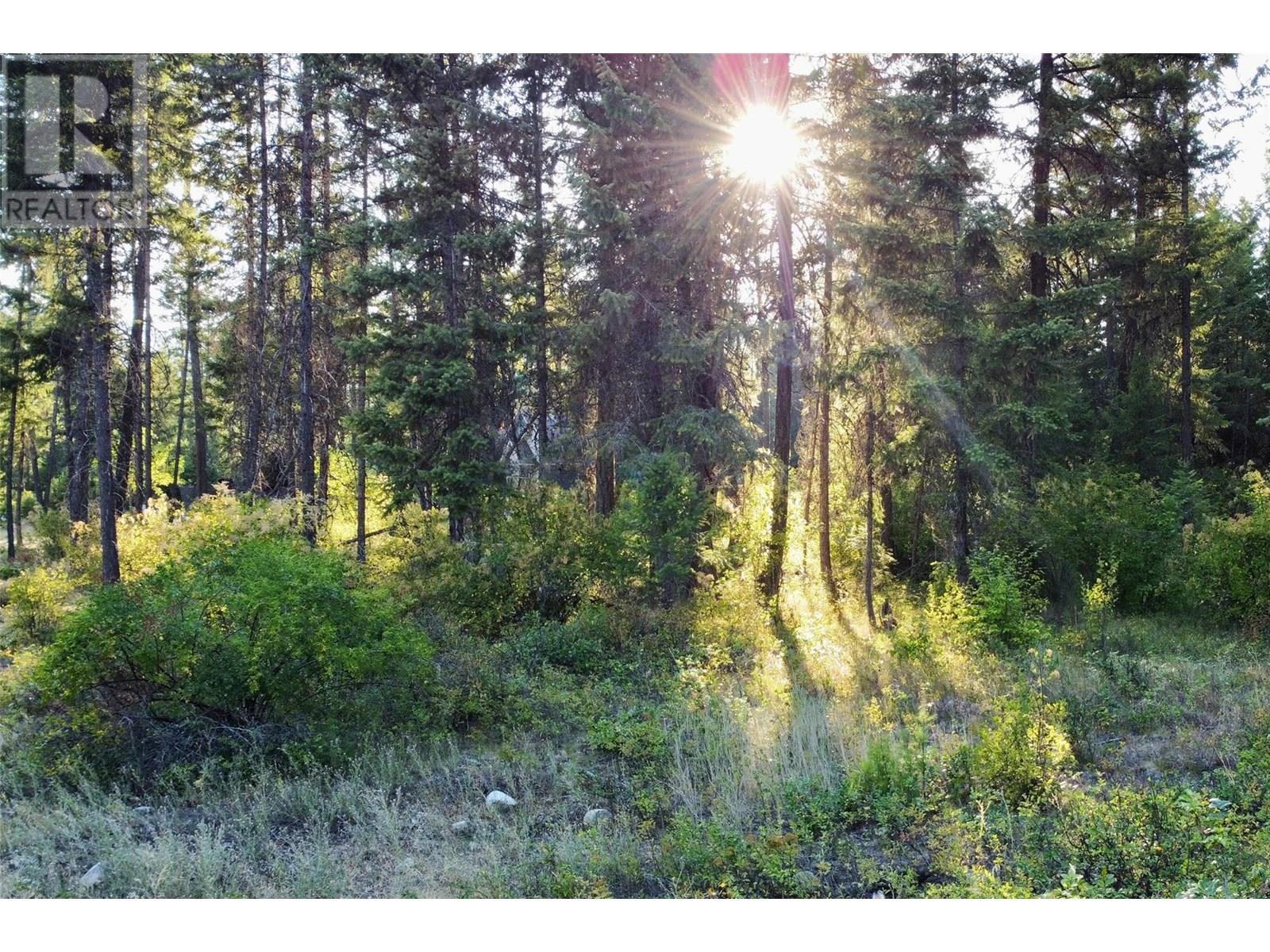 Caitlin Road Lot# 2, Christina Lake, British Columbia  V0H 1E3 - Photo 3 - 10357741