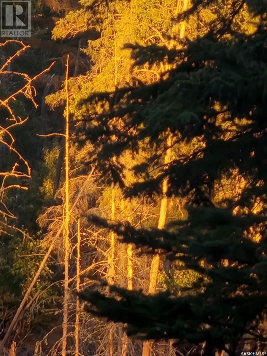 315 Ila Avenue, Lakeland Rm No. 521, Saskatchewan  S0J 0N0 - Photo 49 - SK014119