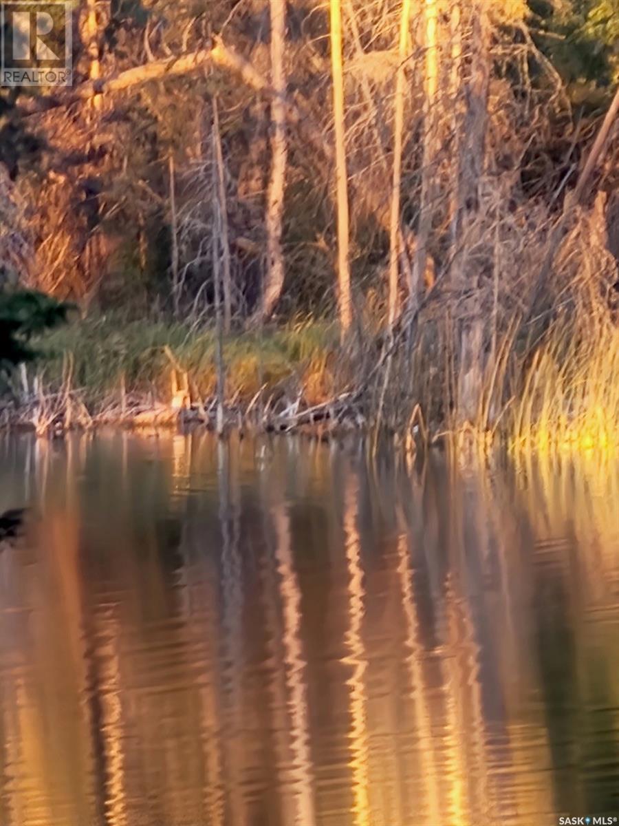 315 Ila Avenue, Lakeland Rm No. 521, Saskatchewan  S0J 0N0 - Photo 50 - SK014119