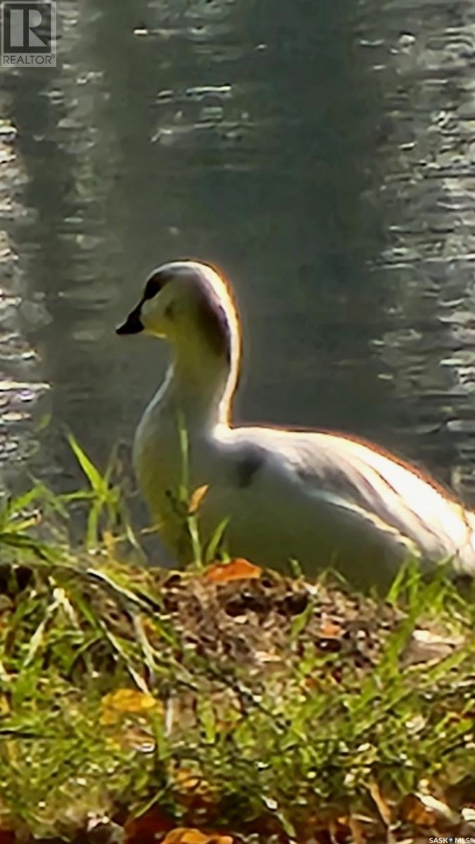 315 Ila Avenue, Lakeland Rm No. 521, Saskatchewan  S0J 0N0 - Photo 47 - SK014119