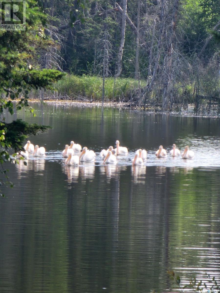 315 Ila Avenue, Lakeland Rm No. 521, Saskatchewan  S0J 0N0 - Photo 46 - SK014119