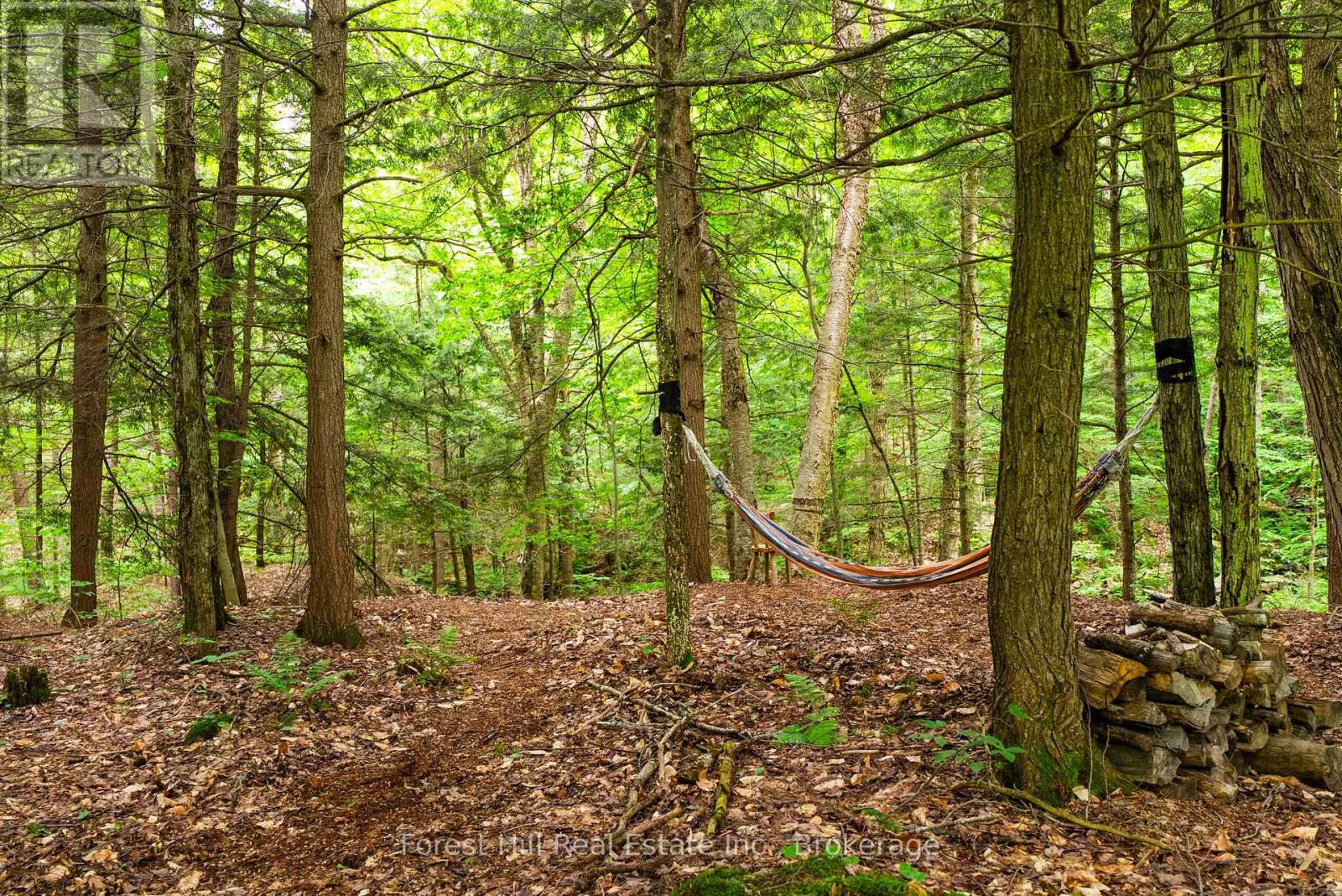 1474 Etwell Road, Huntsville, Ontario  P1H 2J2 - Photo 36 - X12237323