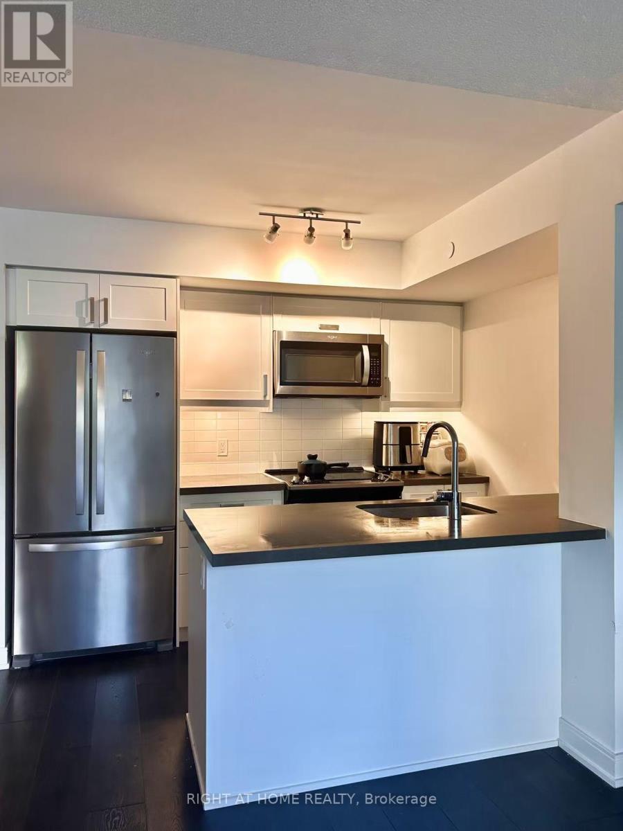 305 - 50 Wellesley Street E, Toronto, Ontario  M4Y 0C8 - Photo 22 - C12321188