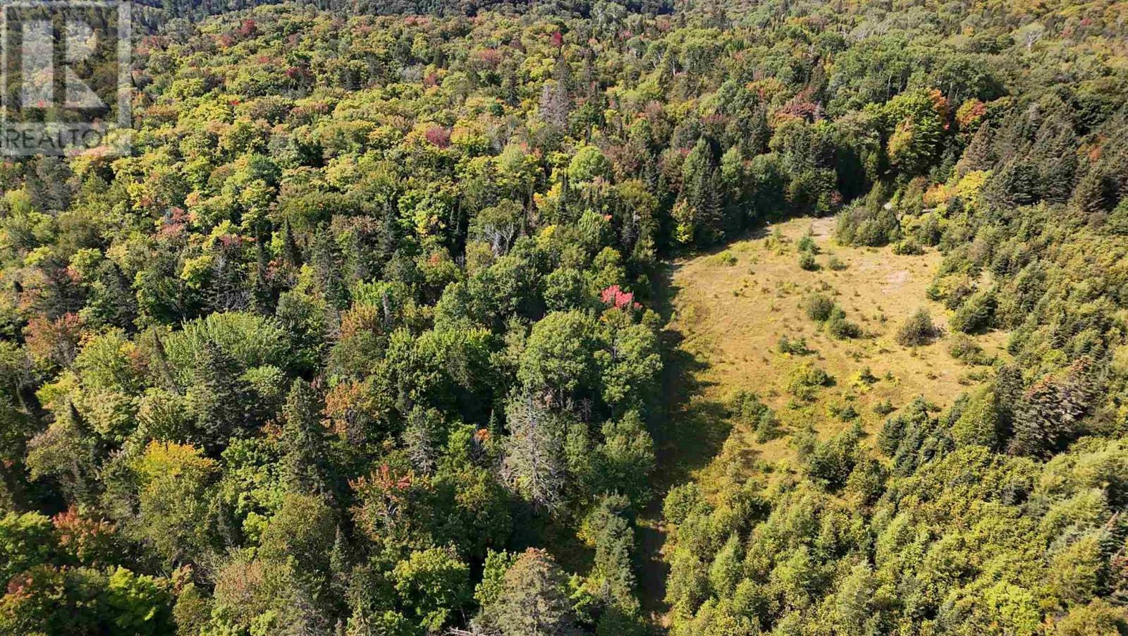 Pt Sec 37 & 38 Off Pickard Rd, Havilland, Ontario  P0S 1A0 - Photo 34 - SM251646