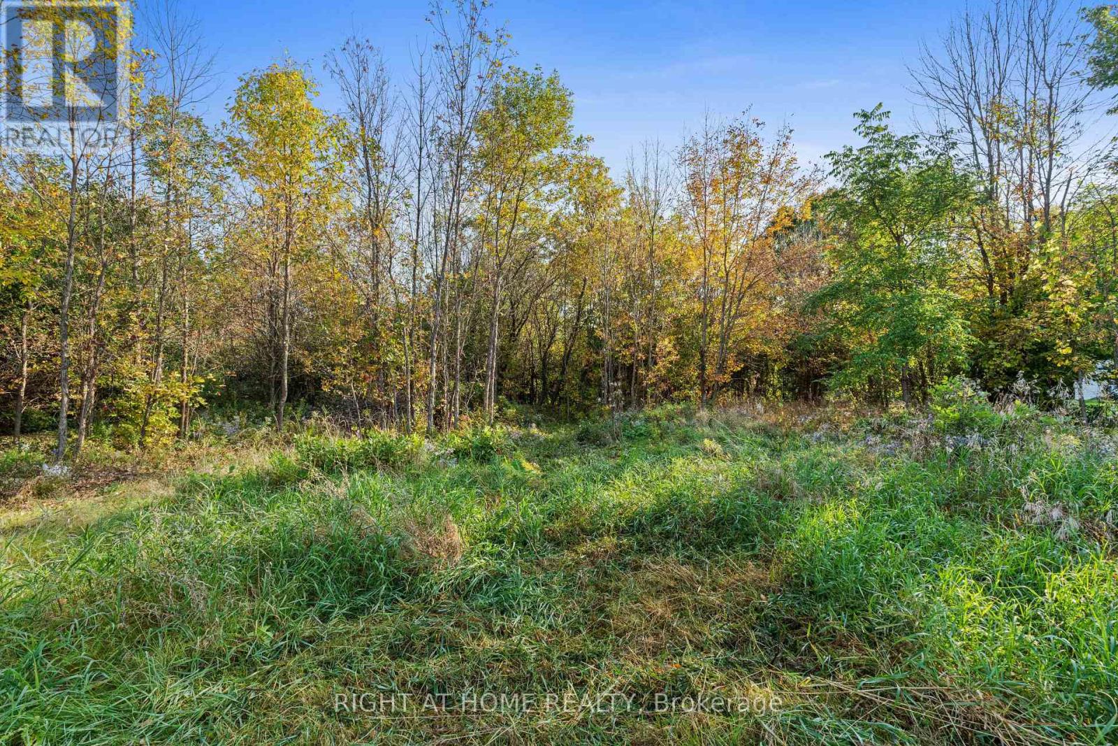 108 Old Ship Road, Ottawa, Ontario  K0A 1X0 - Photo 9 - X12321236