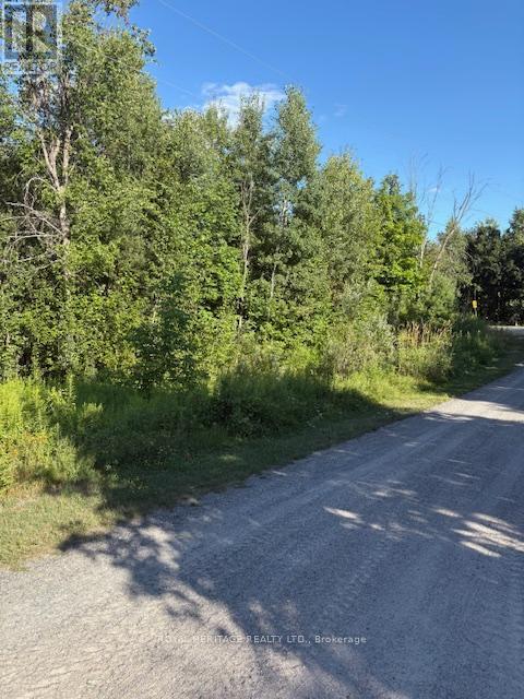 70 Fish Hook Lane, Marmora And Lake, Ontario  K0L 1W0 - Photo 12 - X12318751