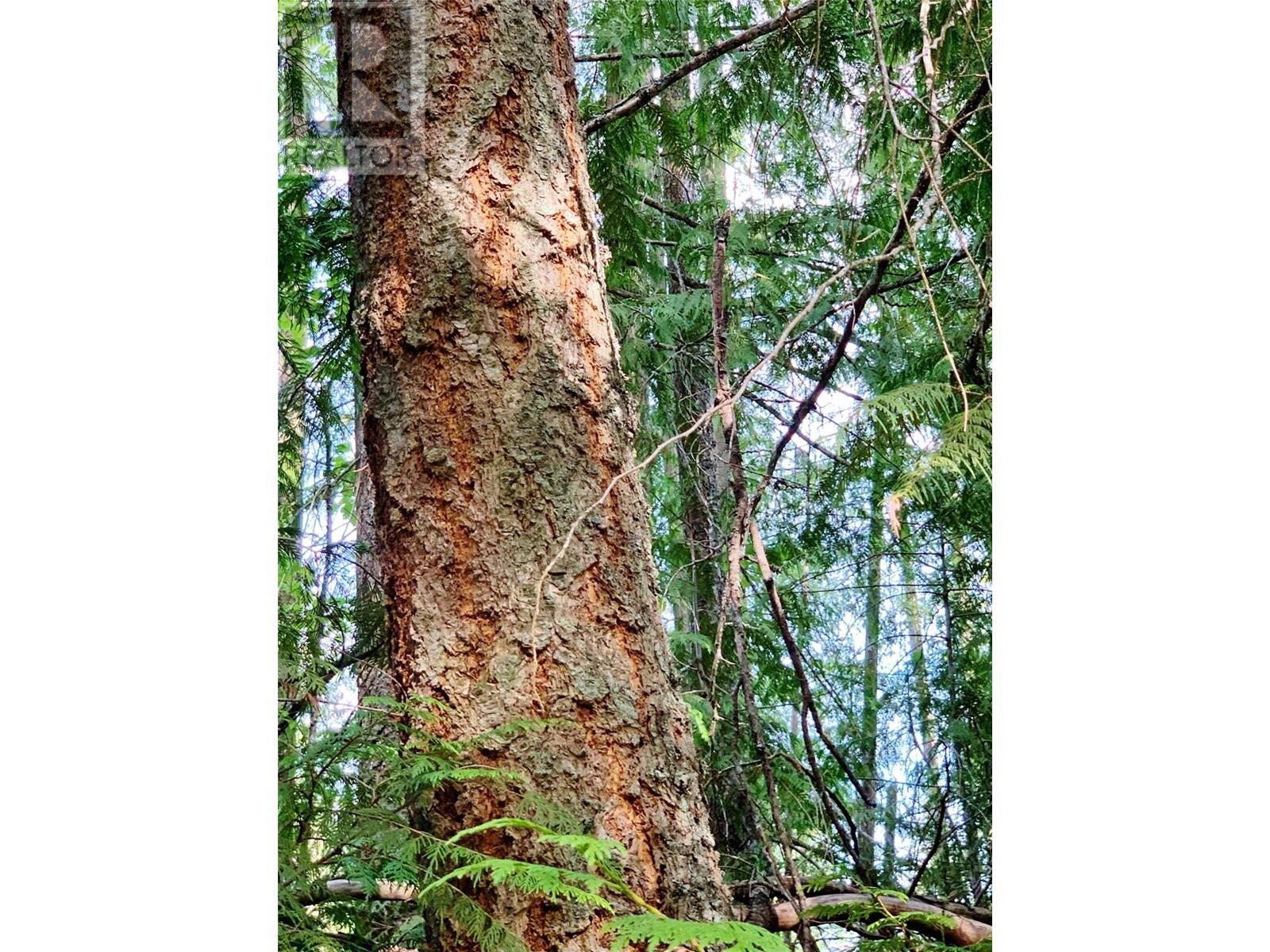 65 Huckleberry Drive, Sorrento, British Columbia  V0E 2W1 - Photo 20 - 10341452