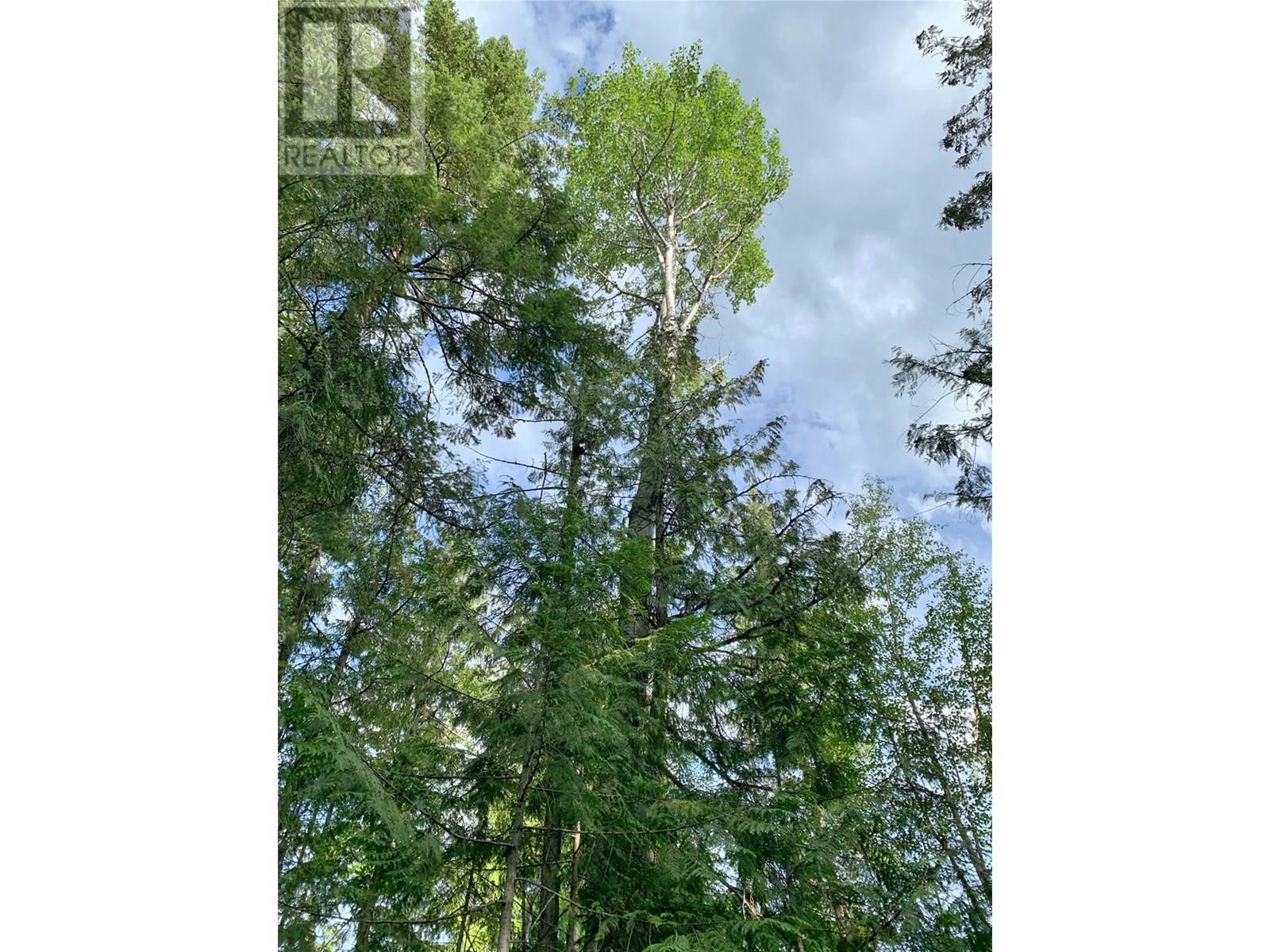 65 Huckleberry Drive, Sorrento, British Columbia  V0E 2W1 - Photo 18 - 10341452
