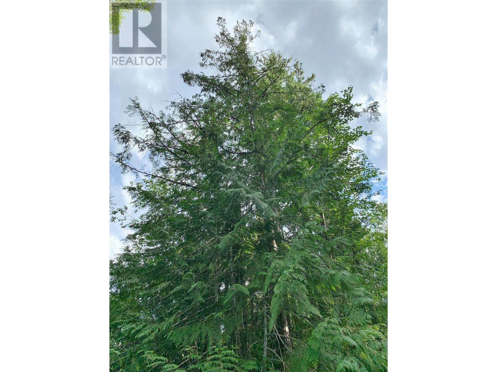 65 Huckleberry Drive, Sorrento, British Columbia  V0E 2W1 - Photo 19 - 10341452
