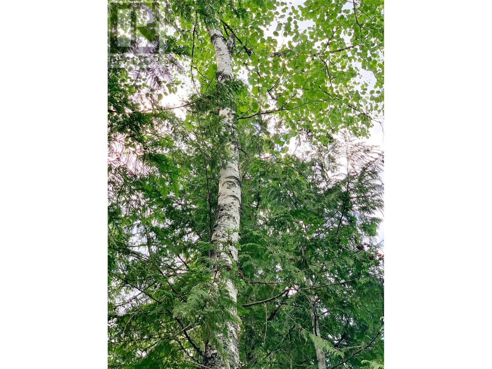 65 Huckleberry Drive, Sorrento, British Columbia  V0E 2W1 - Photo 21 - 10341452