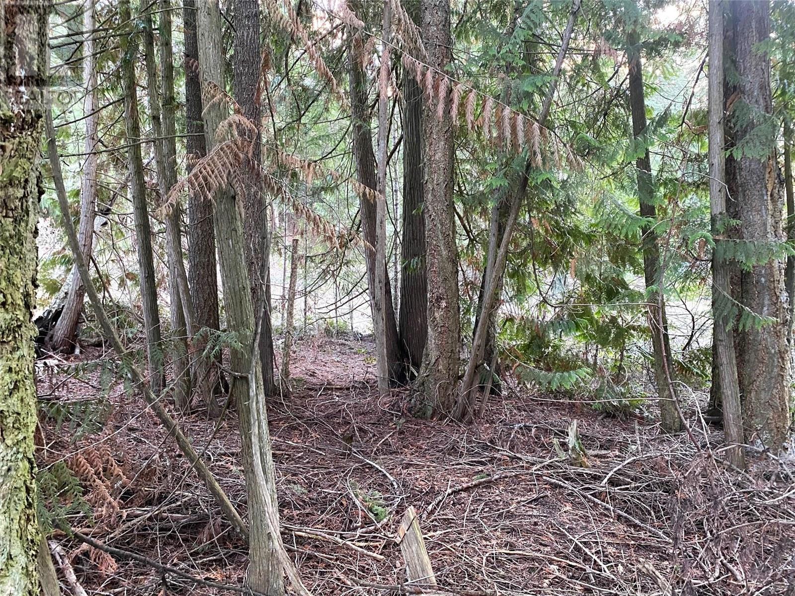 2807 Evergreen Place, Blind Bay, British Columbia  V0E 1H2 - Photo 9 - 10336952