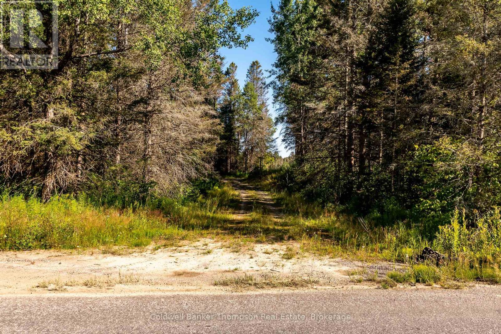 254 Pickerel Lake Road, Armour, Ontario  P0A 1C0 - Photo 3 - X12321296
