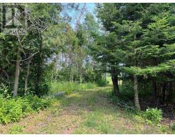 Lot 2 & 3 con Nelson DR, St. Joseph Island, Ontario