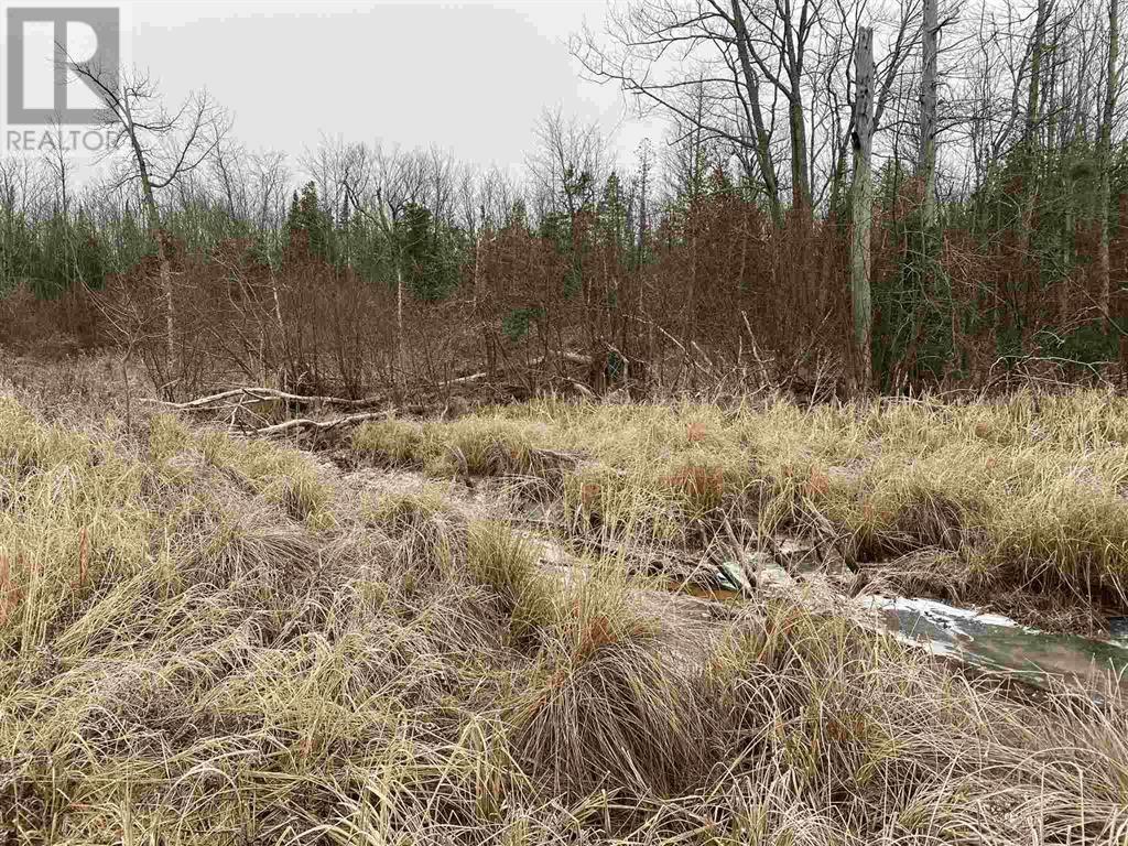 Lot 2 & 3 Con Nelson Dr, St. Joseph Island, Ontario  P0R 1G0 - Photo 6 - SM251787
