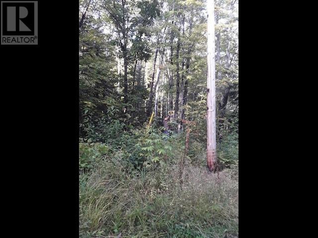 000 Hwy 563, Batchawana, Ontario  P0S 1A0 - Photo 9 - SM251808