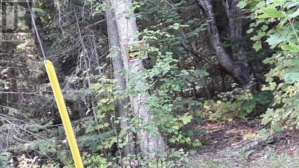 000 Hwy 563, Batchawana, Ontario  P0S 1A0 - Photo 6 - SM251808