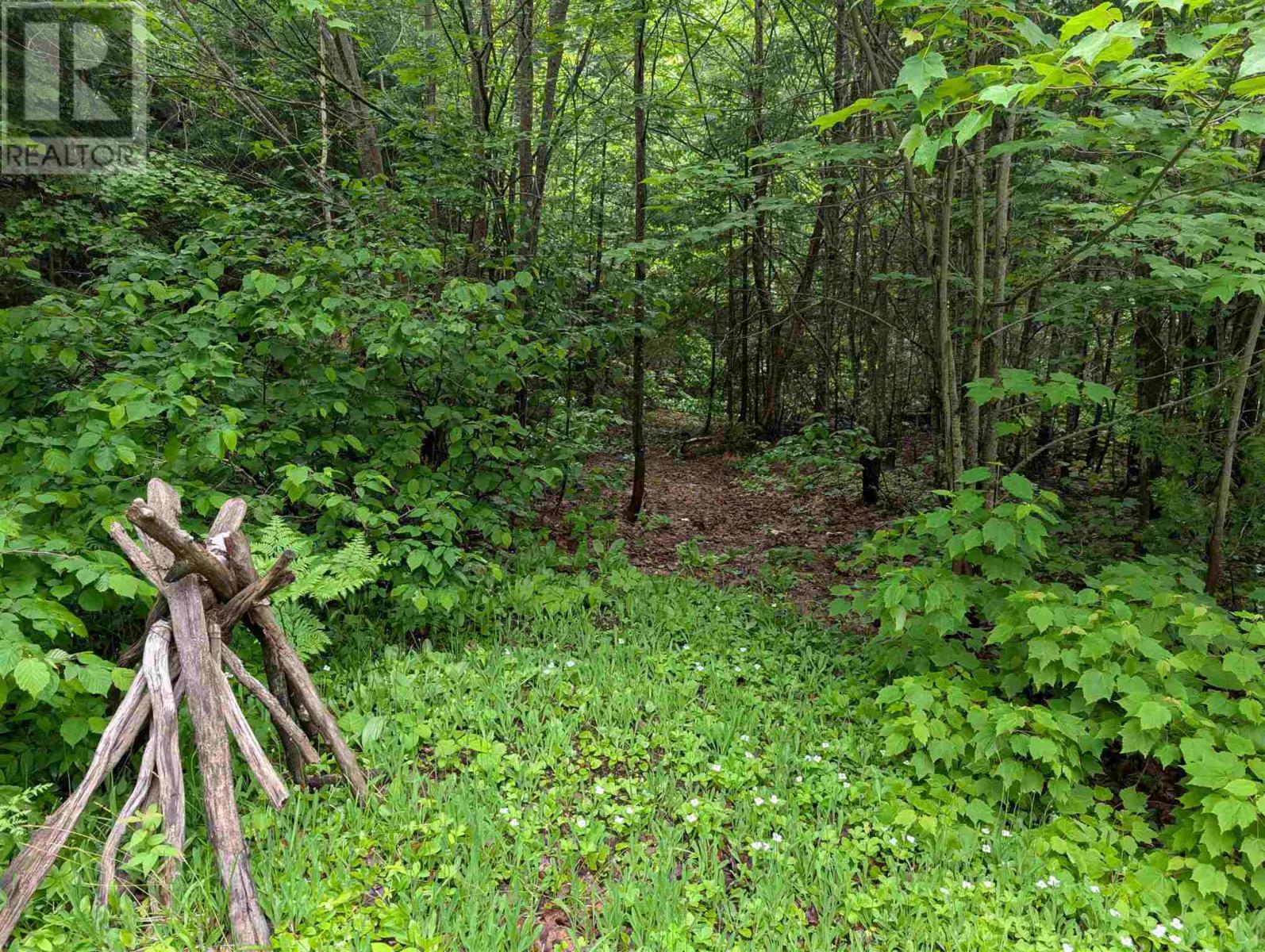 Meenach Lake, Batchawana, Ontario  P0S 1A0 - Photo 8 - SM251835
