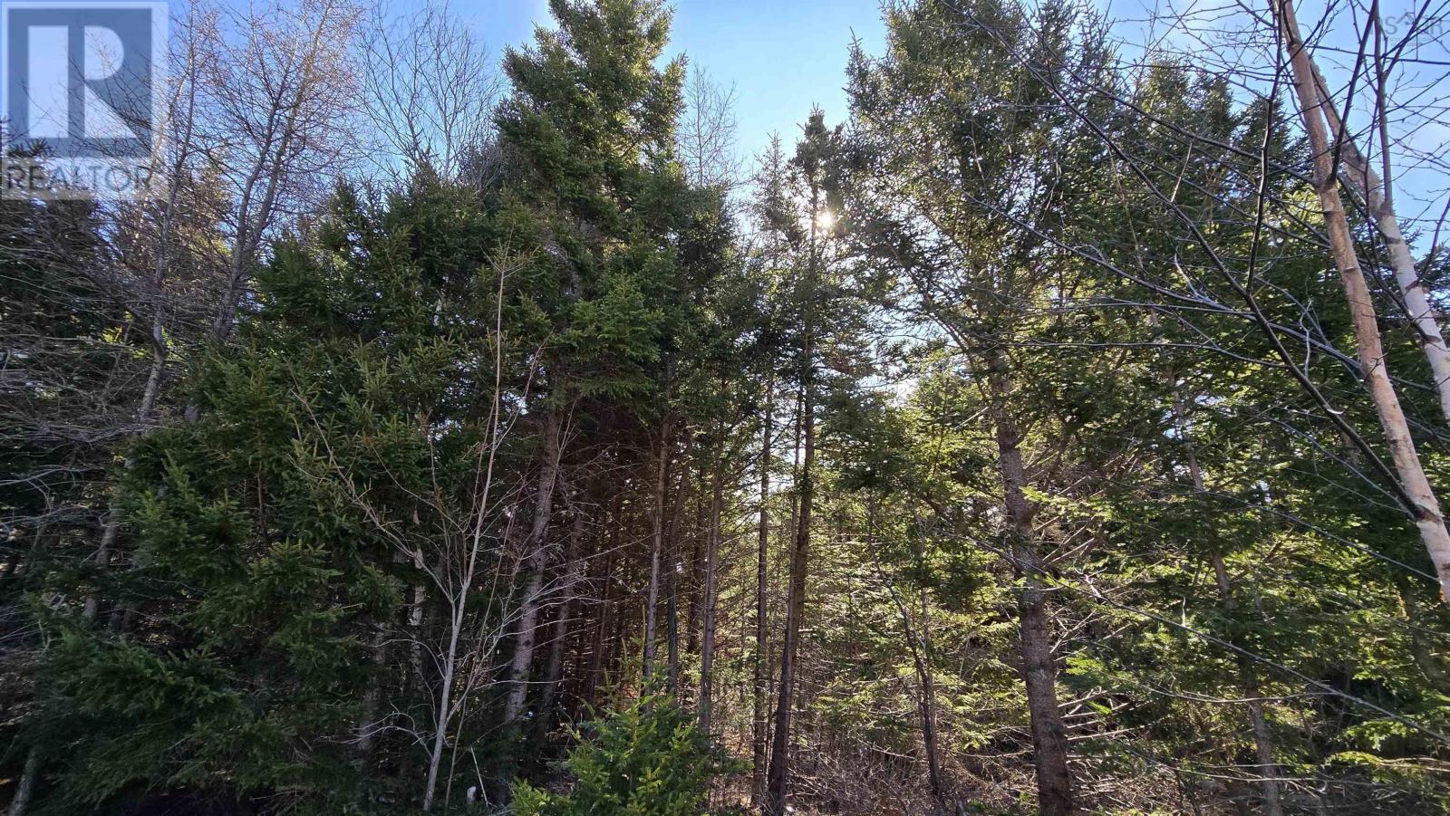 Lot 2 Dugas Lane, Ohio, Nova Scotia  B0W 3T0 - Photo 12 - 202505083