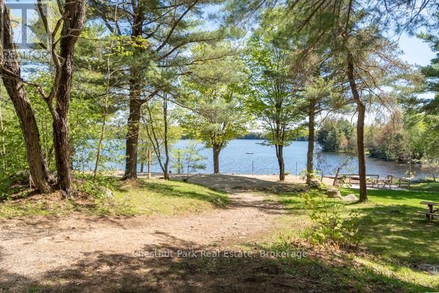 701 - 1047 Bonnie Lake Camp Road, Bracebridge, Ontario  P1L 1W9 - Photo 21 - X12321368
