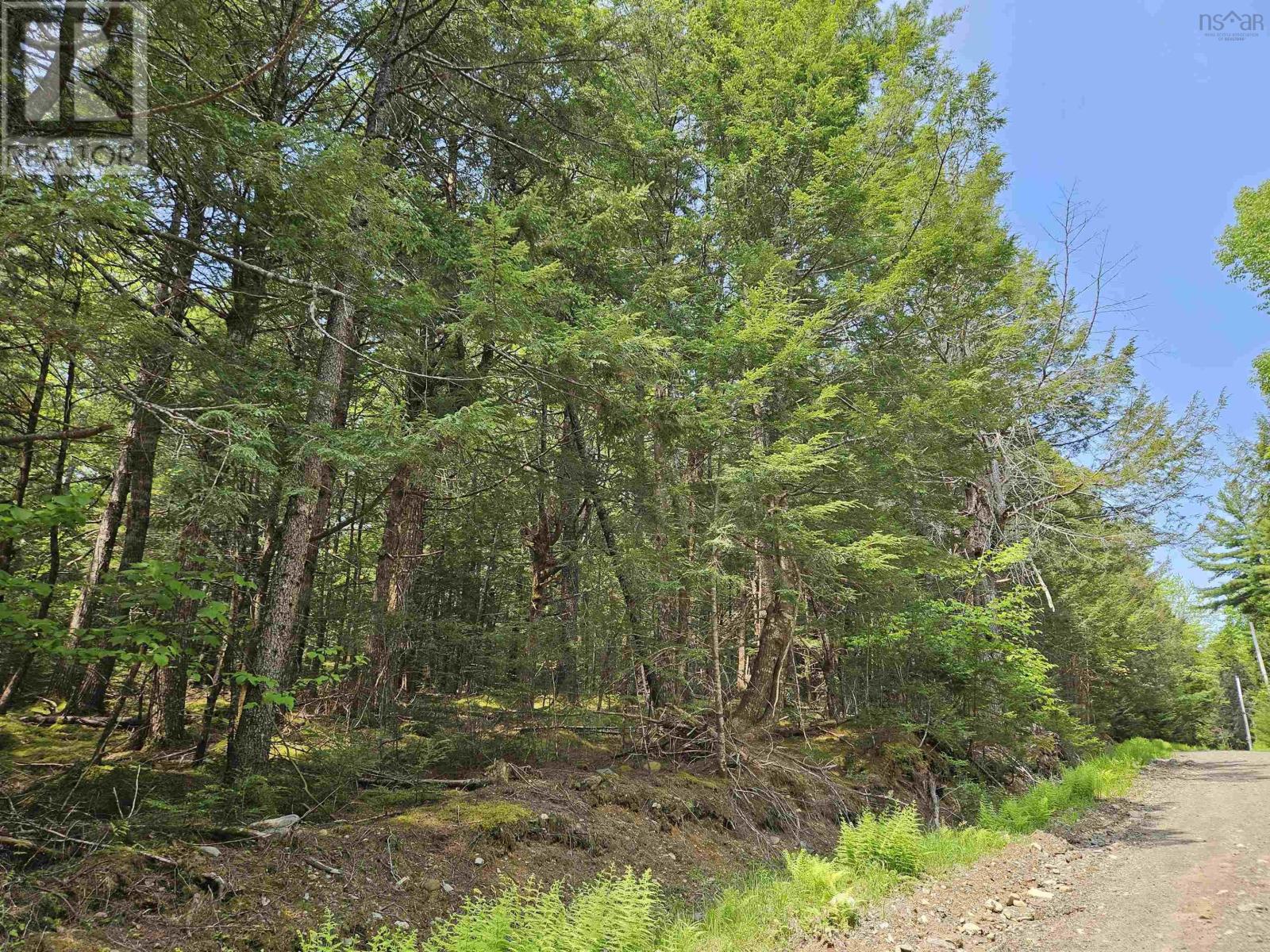 Lot 10b Cottage Lane, Pleasantfield, Nova Scotia  B0T 1X0 - Photo 4 - 202513719