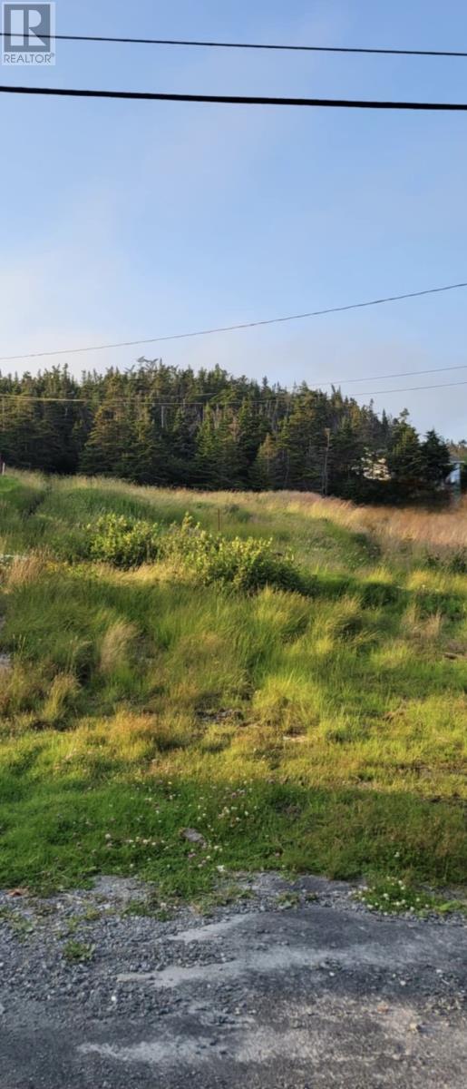 48 Old Settlement Hill, Freshwater Placentia, Newfoundland & Labrador  A0B 1W0 - Photo 1 - 1288599