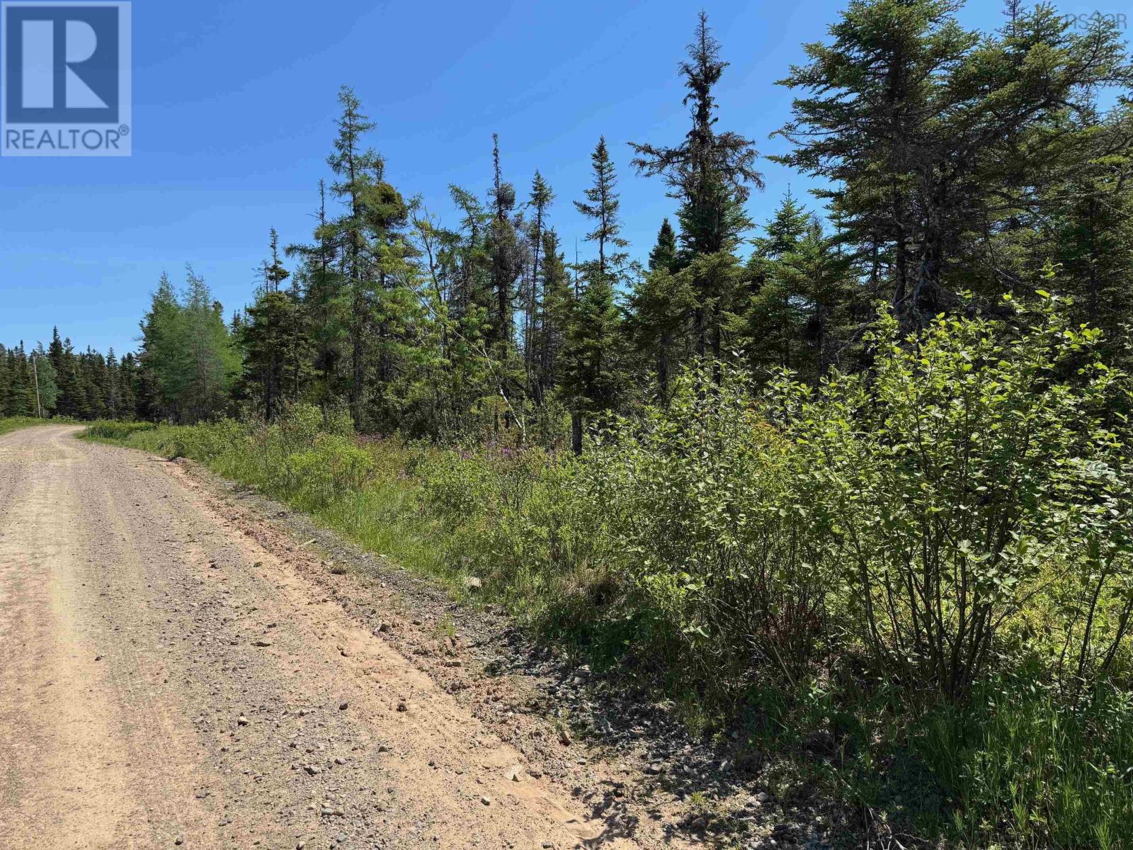 Macvicar Road, Loch Lomond, Nova Scotia  B1J 1W5 - Photo 18 - 202426689