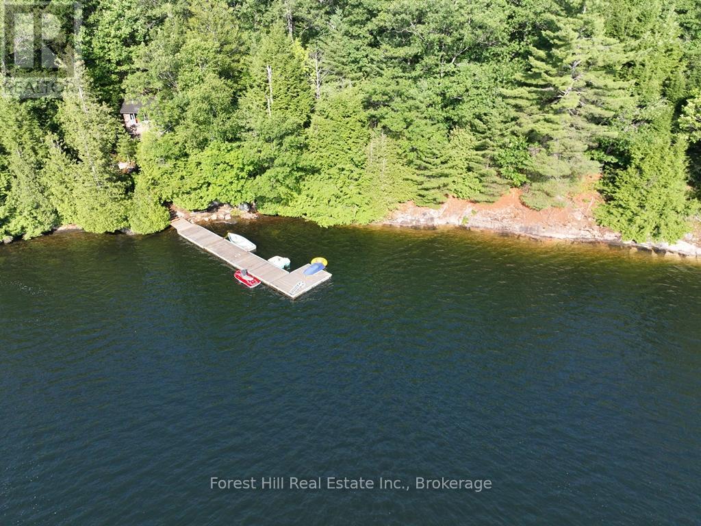 10689 Kawagama Lake, Algonquin Highlands, Ontario  P0A 1E0 - Photo 7 - X12321536