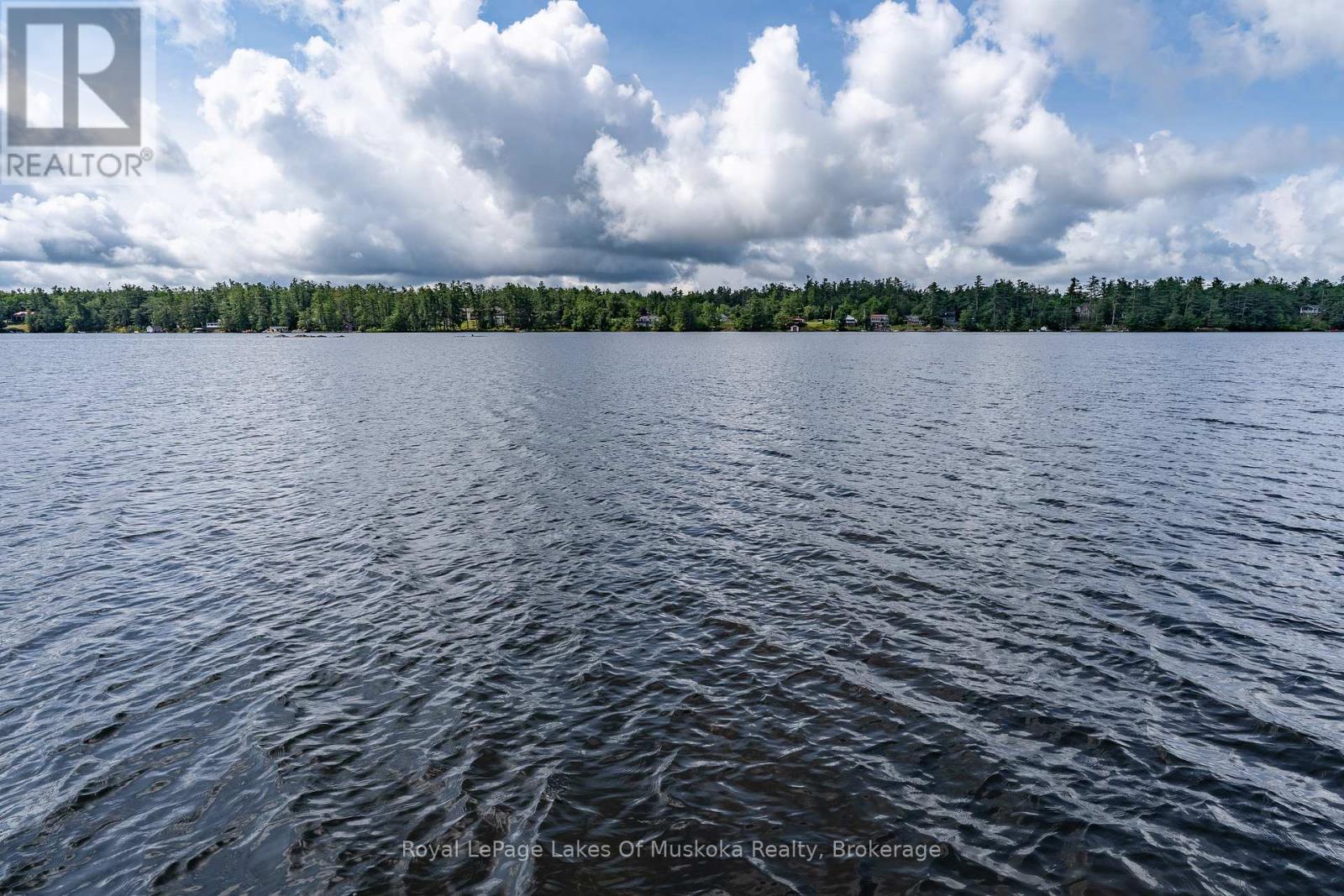 1170 North Shore Drive, Gravenhurst, Ontario  P1P 1R1 - Photo 37 - X12272343