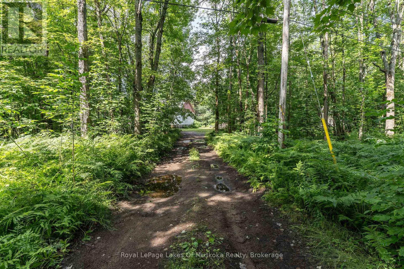 1170 North Shore Drive, Gravenhurst, Ontario  P1P 1R1 - Photo 46 - X12272343