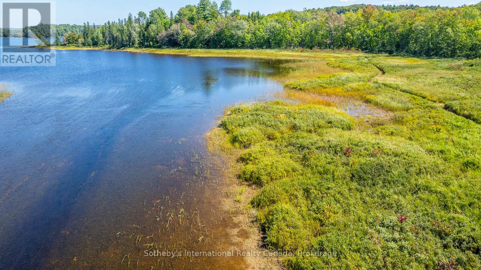 166 Colbourne Road, Armour, Ontario  P0A 1C0 - Photo 27 - X11953128