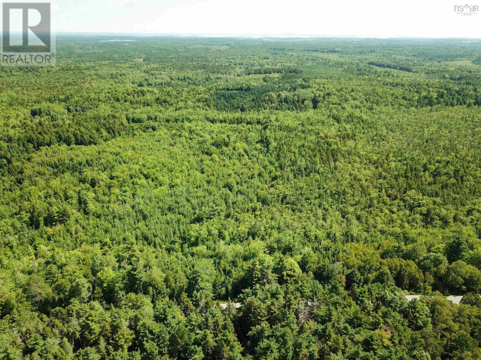 Lot 101 Crouses Settlement Road, Crouses Settlement, Nova Scotia  B0J 2C0 - Photo 13 - 202519474