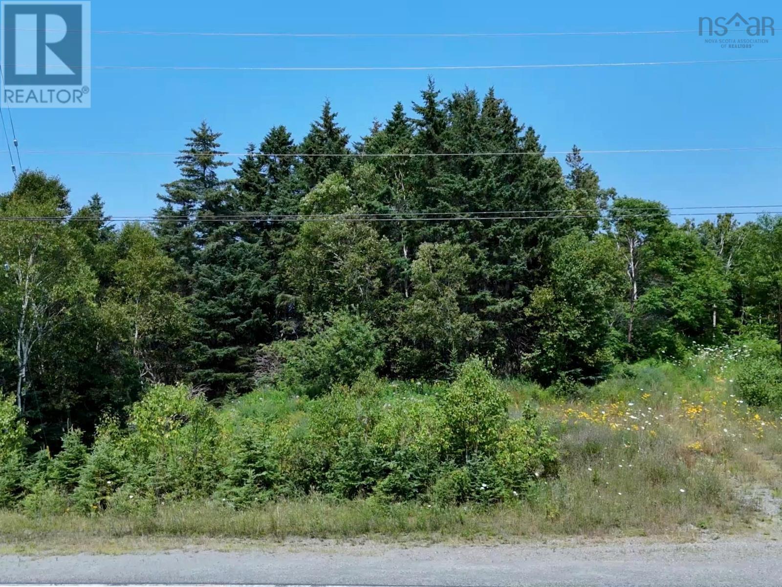 Lot 4,6,8 Lakeshore Drive W, Highway 4 (East Bay Hwy), Irish Cove, Nova Scotia  B0E 3B0 - Photo 17 - 202519480