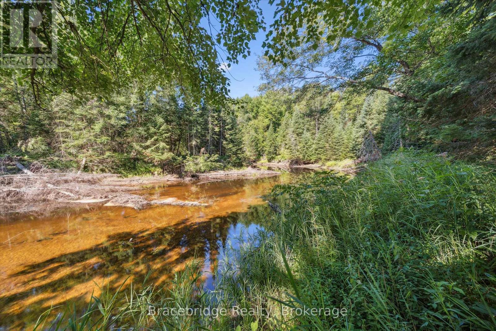 0 Hwy 118 E Highway, Bracebridge, Ontario  P1L 0K3 - Photo 13 - X12321951