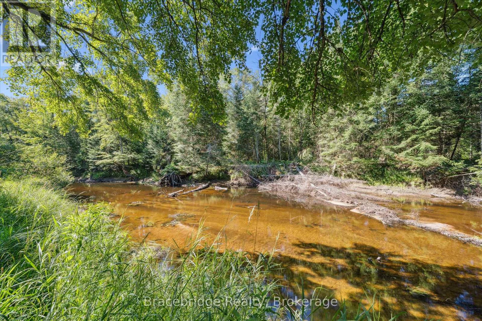0 Hwy 118 E Highway, Bracebridge, Ontario  P1L 0K3 - Photo 14 - X12321951