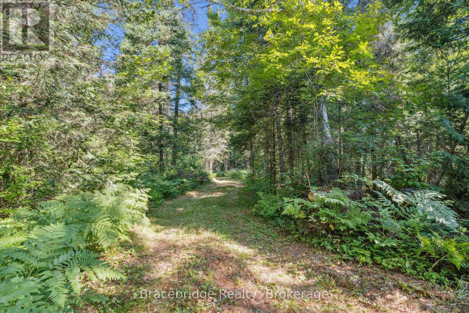 0 Hwy 118 E Highway, Bracebridge, Ontario  P1L 0K3 - Photo 16 - X12321951