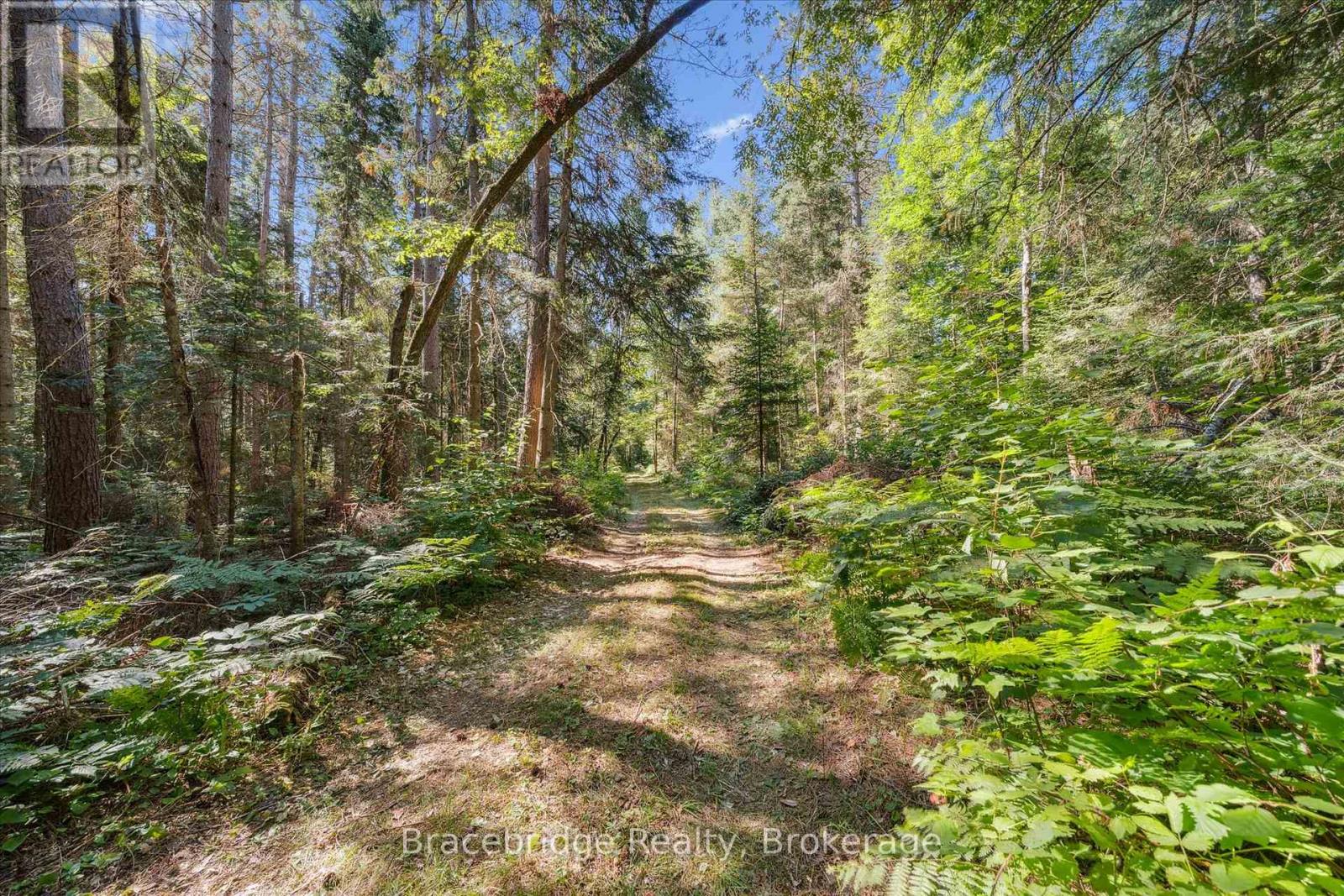 0 Hwy 118 E Highway, Bracebridge, Ontario  P1L 0K3 - Photo 18 - X12321951