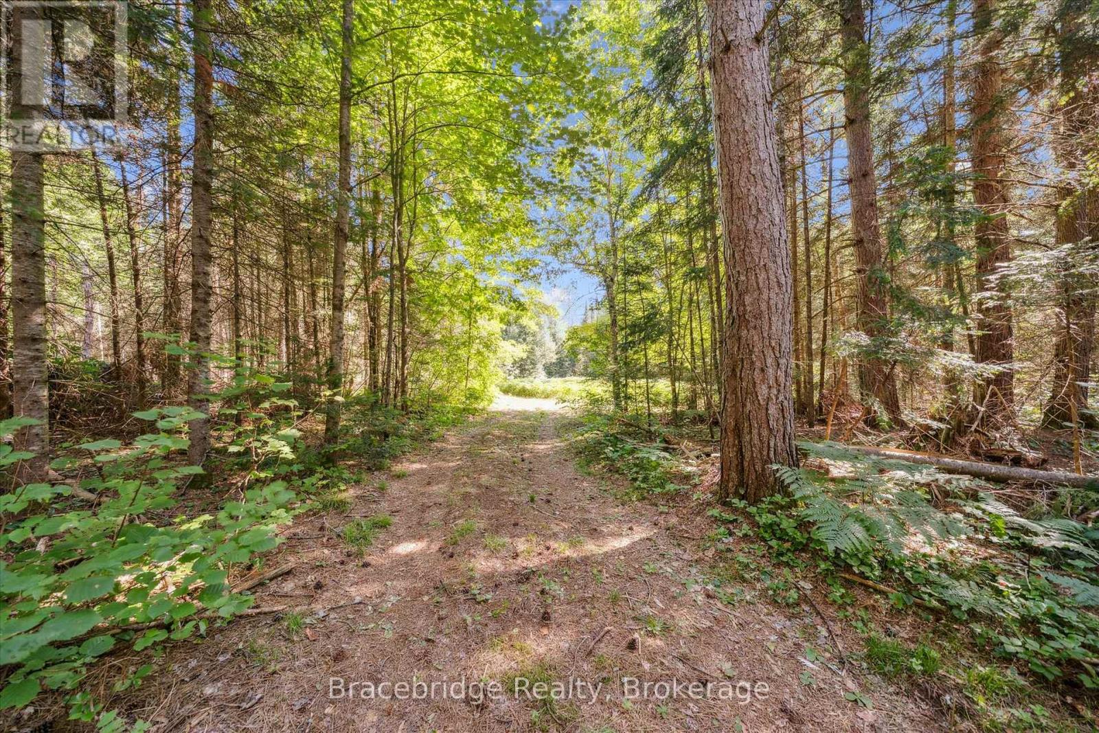 0 Hwy 118 E Highway, Bracebridge, Ontario  P1L 0K3 - Photo 19 - X12321951