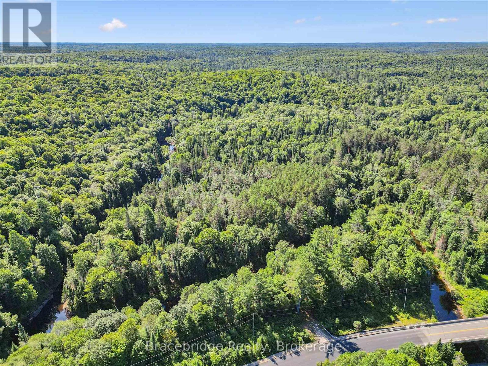 0 Hwy 118 E Highway, Bracebridge, Ontario  P1L 0K3 - Photo 6 - X12321951