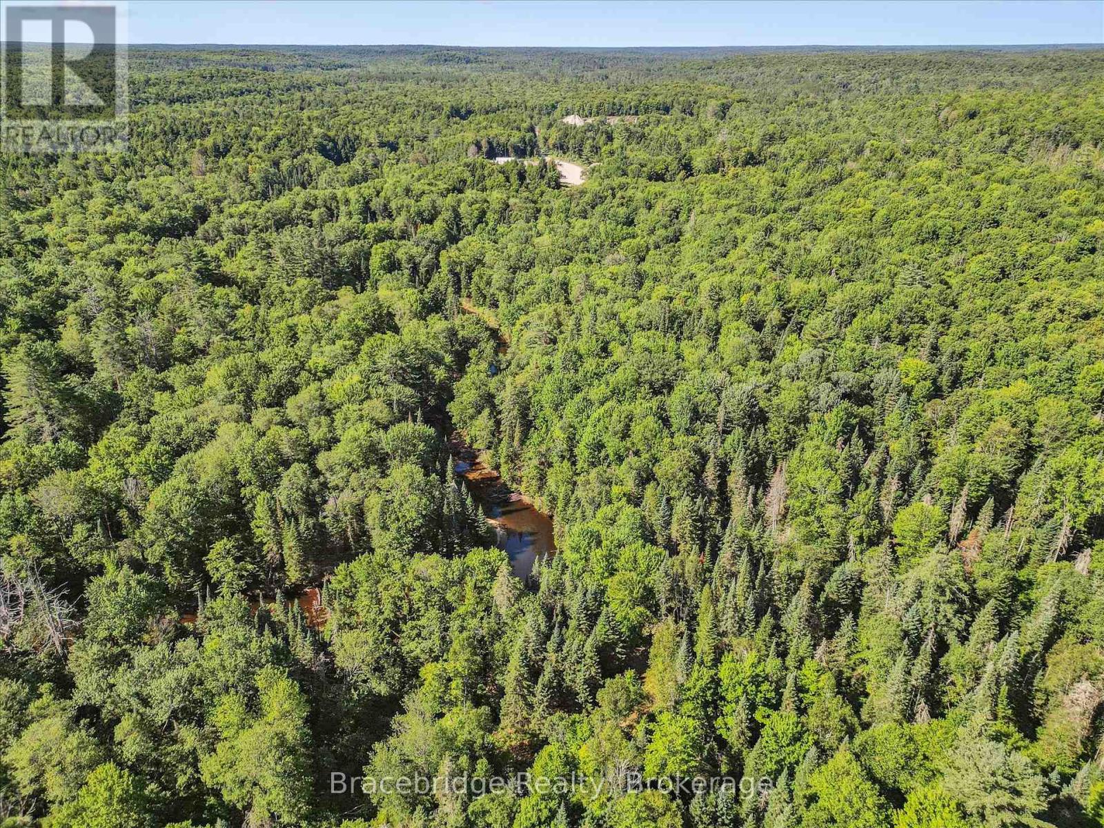 0 Hwy 118 E Highway, Bracebridge, Ontario  P1L 0K3 - Photo 9 - X12321951