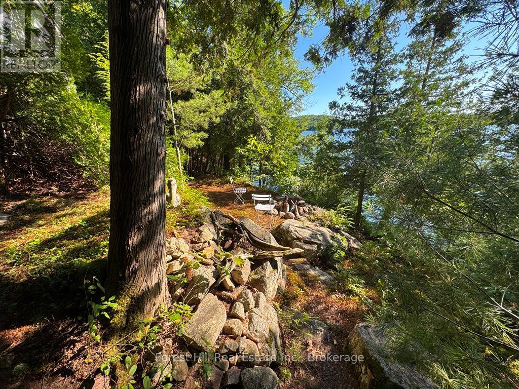 10689 Kawagama Lake, Algonquin Highlands, Ontario  P0A 1E0 - Photo 32 - X12321536