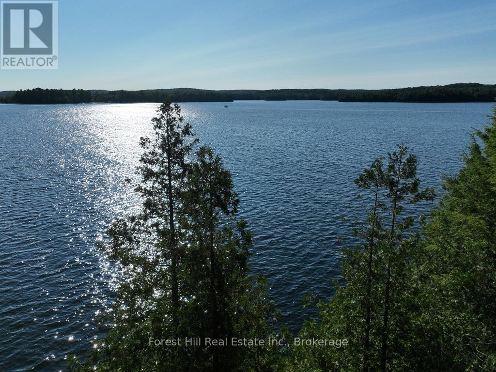 10689 Kawagama Lake, Algonquin Highlands, Ontario  P0A 1E0 - Photo 36 - X12321536