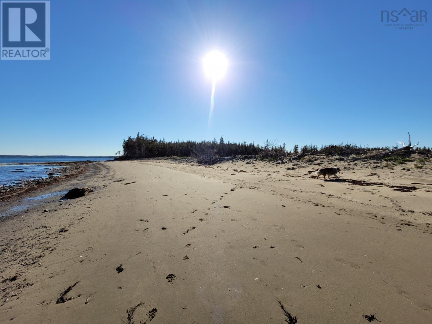 Port Morien Drive, Round Island, Nova Scotia  B1B 1C1 - Photo 1 - 202518966