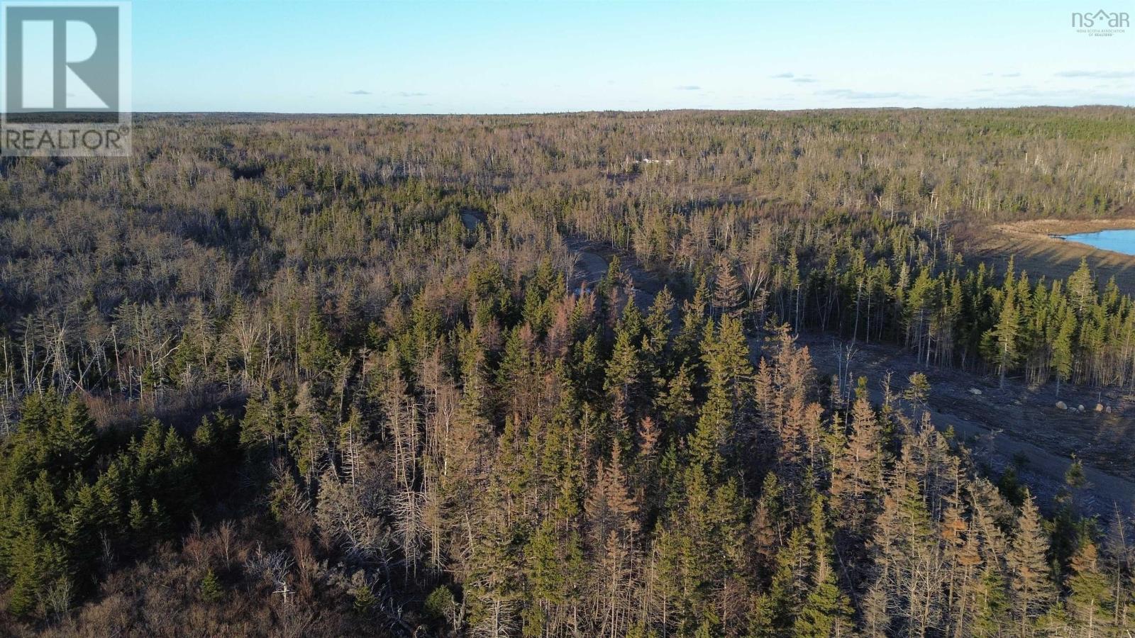 Port Morien Drive, Round Island, Nova Scotia  B1B 1C1 - Photo 11 - 202518966