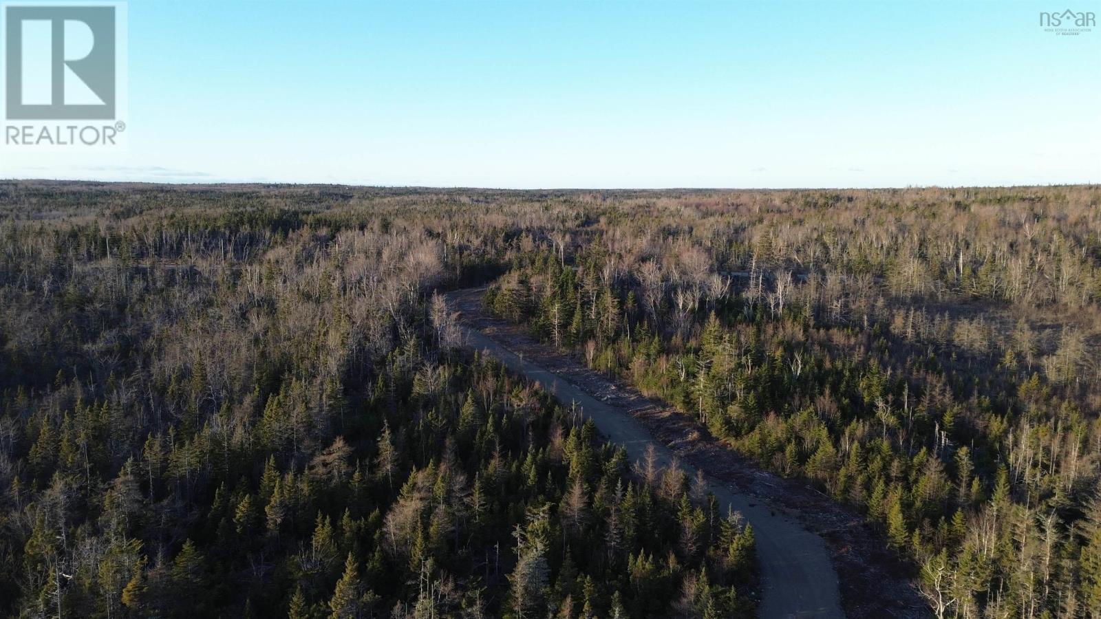 Port Morien Drive, Round Island, Nova Scotia  B1B 1C1 - Photo 7 - 202518966