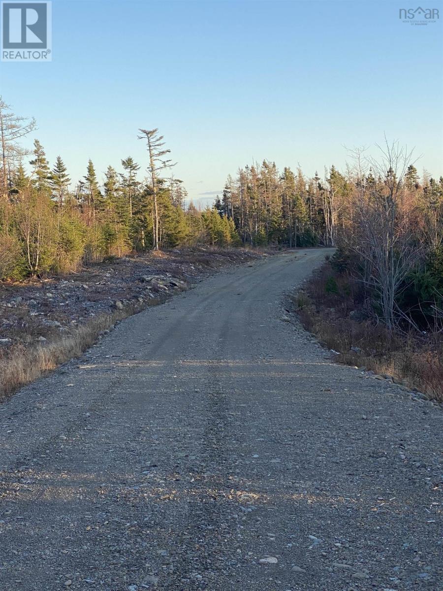 Port Morien Drive, Round Island, Nova Scotia  B1B 1C1 - Photo 8 - 202518966